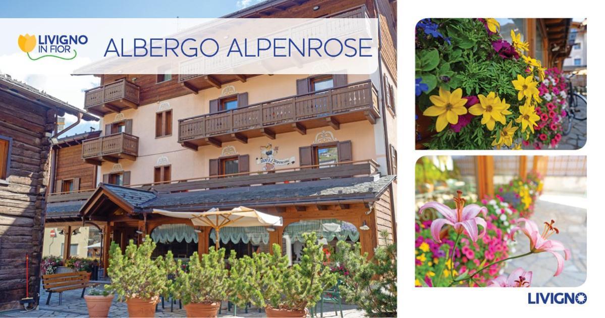 Albergo Alpenrose Livigno Exterior foto